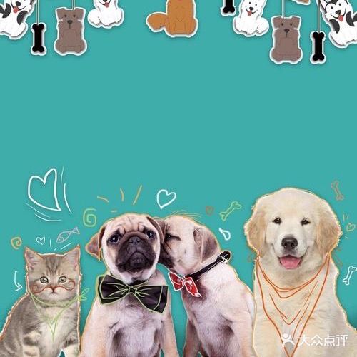 小宠迷宠物(双湾店)