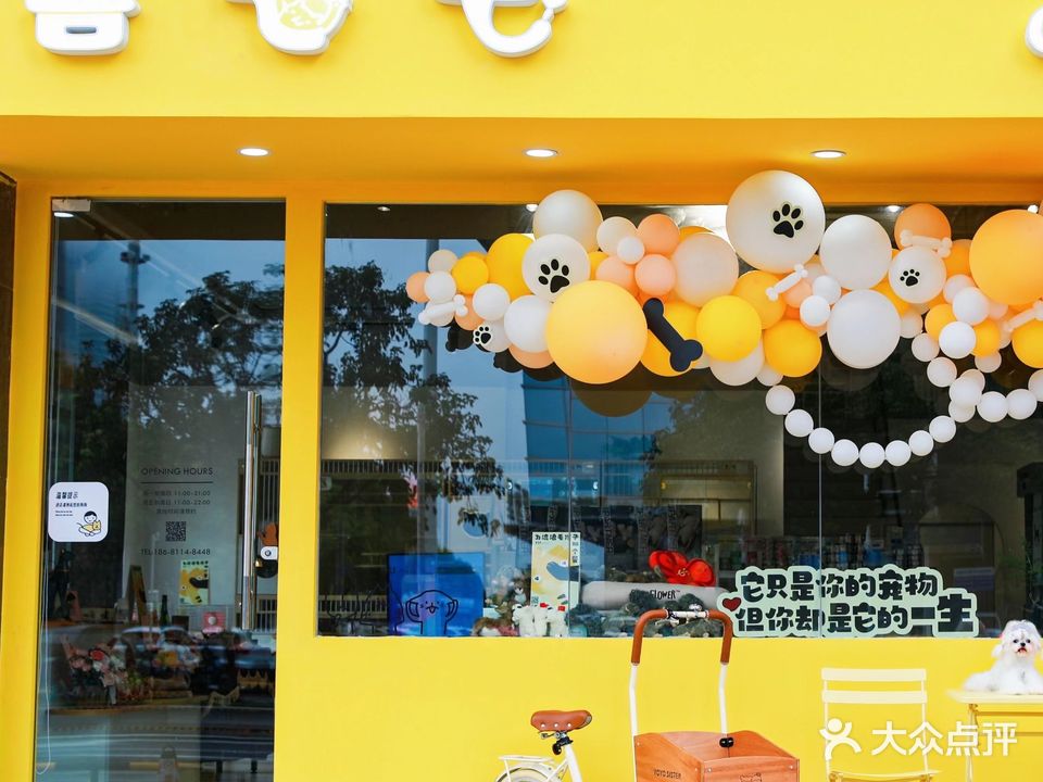 喜毛毛宠物(第一国际百安中心D座店)
