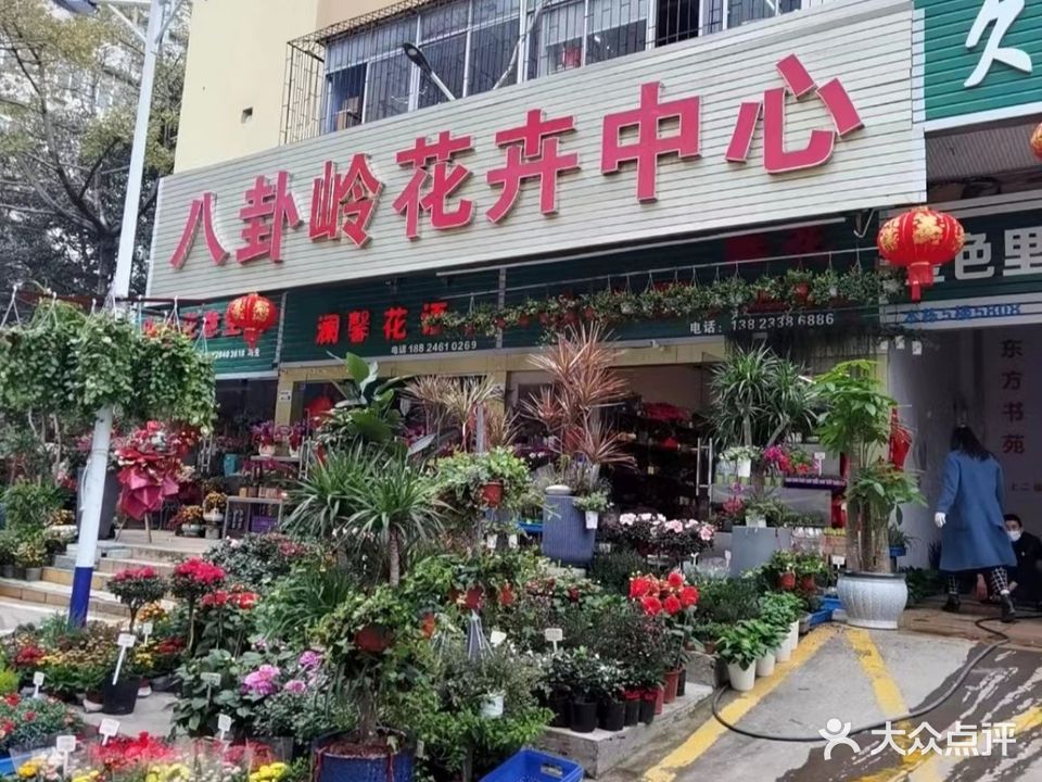 八卦岭花卉中心