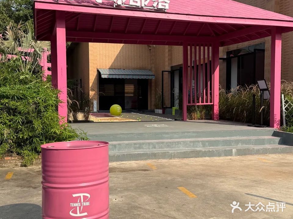 TT网球部落