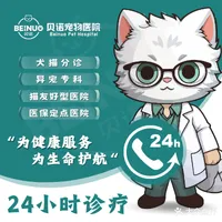 贝诺宠物医院24h·骨科·异宠(惠阳分院)