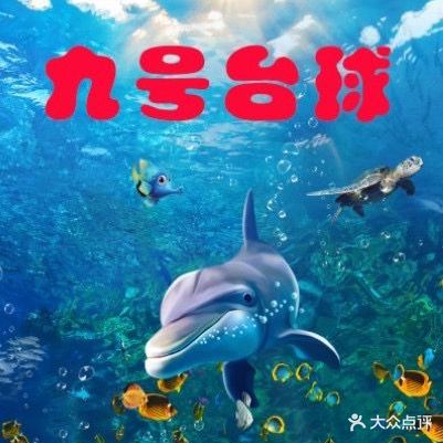 九号台球棋牌(银湖小区店)