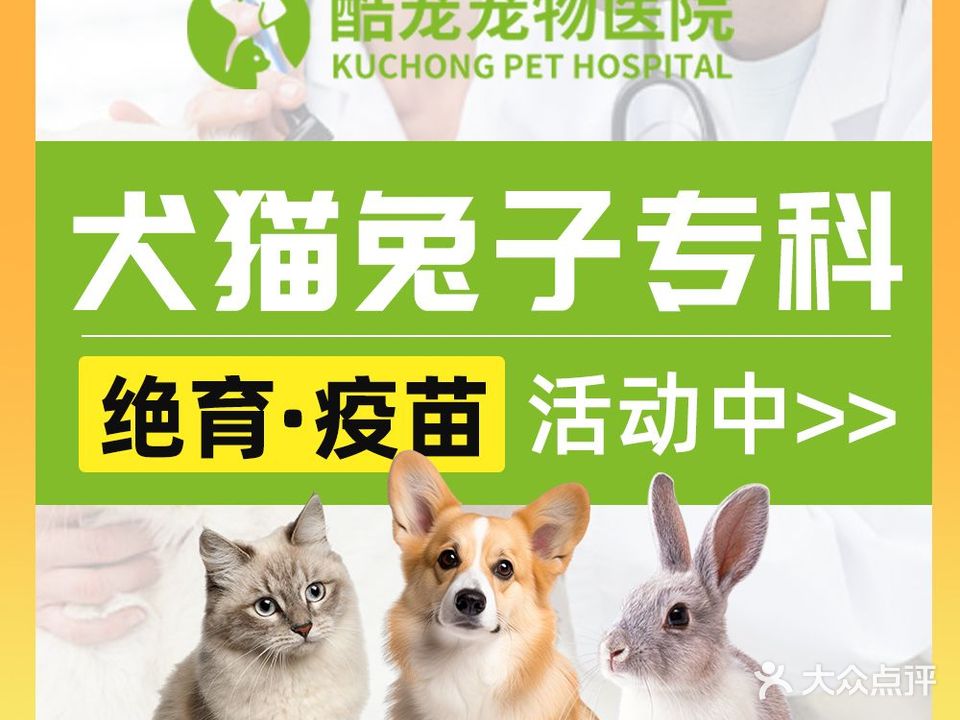 酷宠宠物医院·猫犬兔子专科(文化北路店)