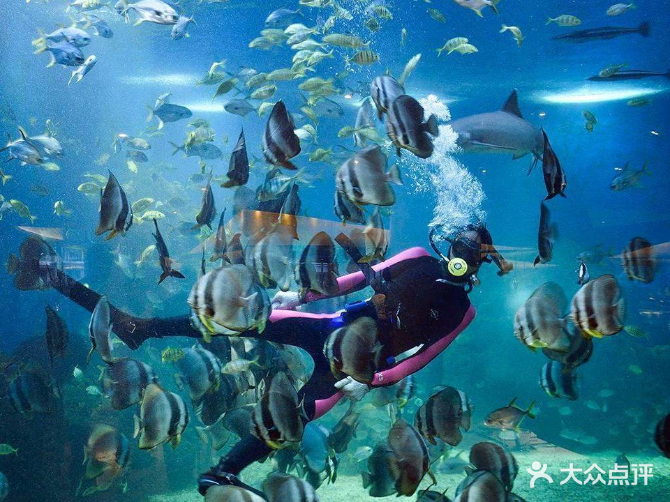 海洋主题海蓝餐厅·鹅肝·牛羊排·三文鱼(亚龙湾迎宾馆店)