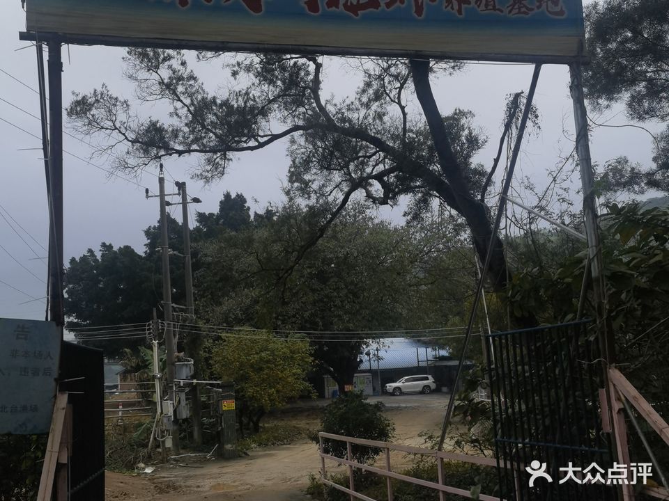 恒渝澳洲龙虾养殖场