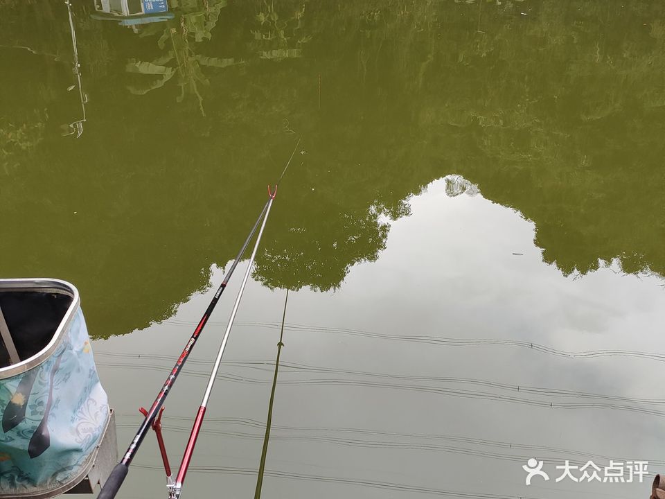 美人鱼休闲垂钓园