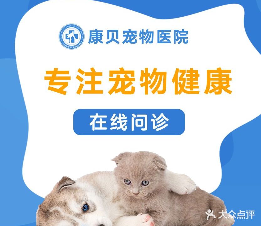 康贝宠物医院·心脏专科·骨外科·微创外科(丹霞店)