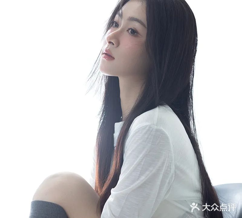 湛江花猫摄影写真