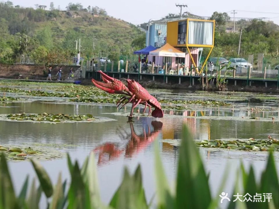 云雾山钓虾基地