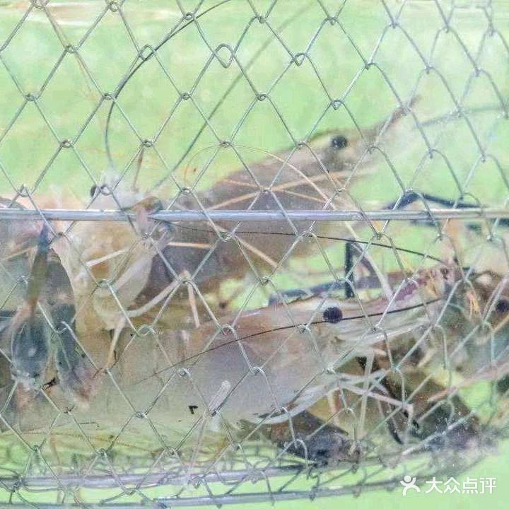 名苑钓虾蟹鱼场特色烧烤·小炒