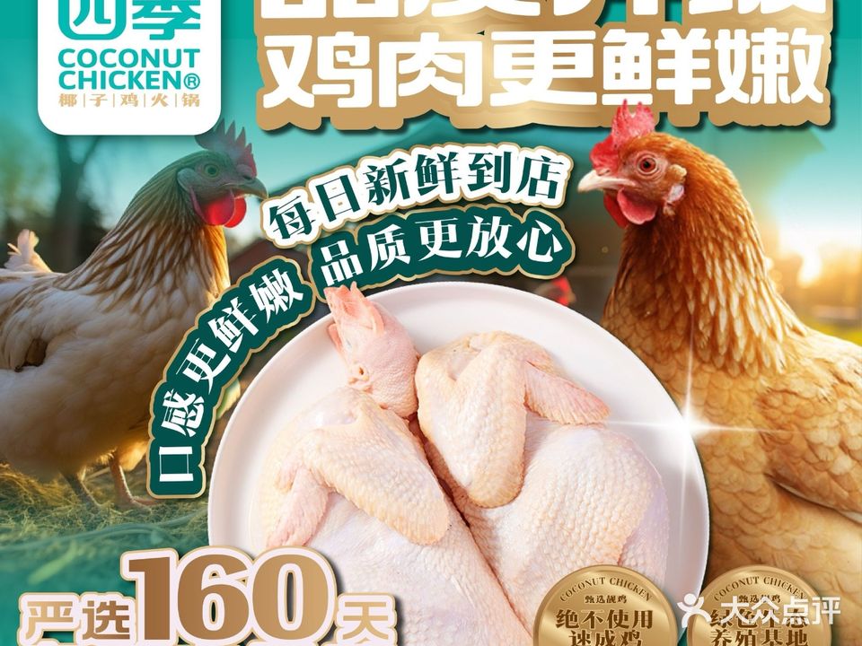 唐德四季·椰子鸡(华都汇店)