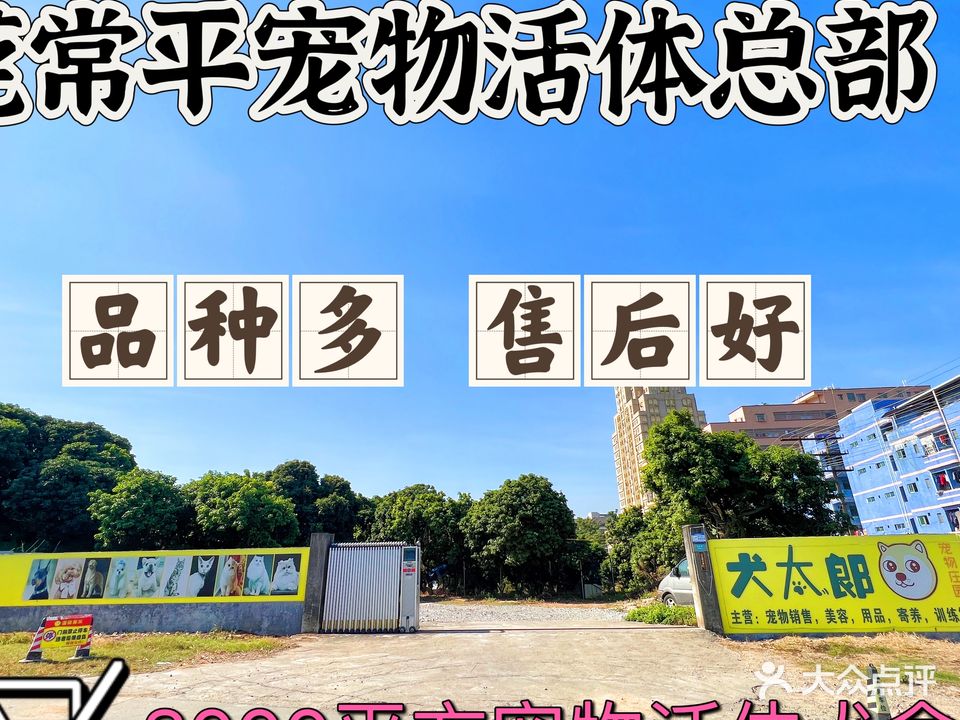 东莞常平犬太郎宠物售卖总部犬舍狗场基地(犬猫舍冼护寄养)
