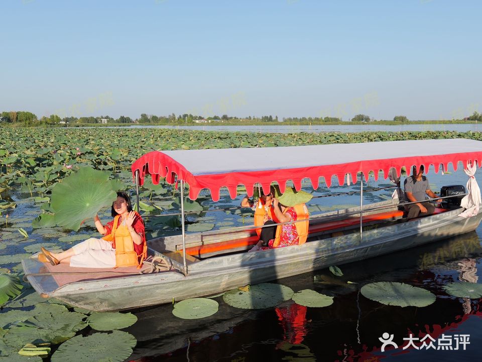 白洋淀渔小荷家