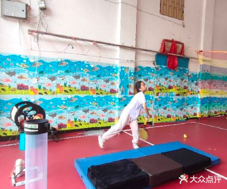 大肥猫少儿网球