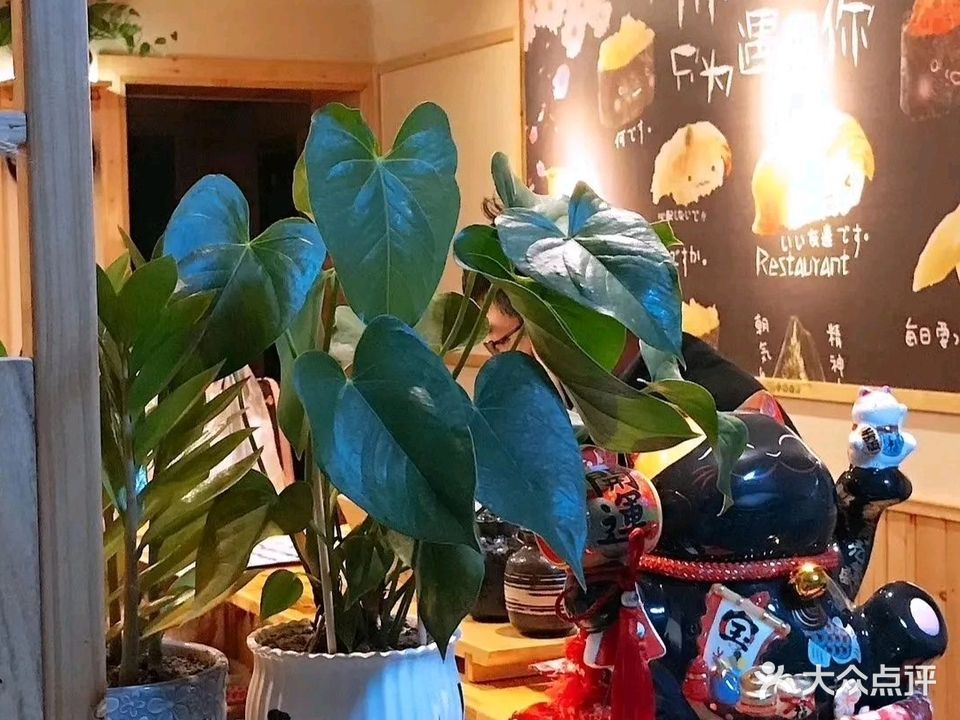 田心寿司(龙湖佳苑店)