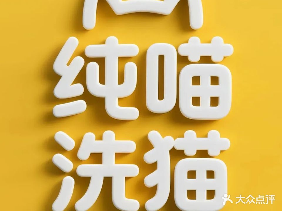 纯喵猫咪低压洗护工作室(流塘)