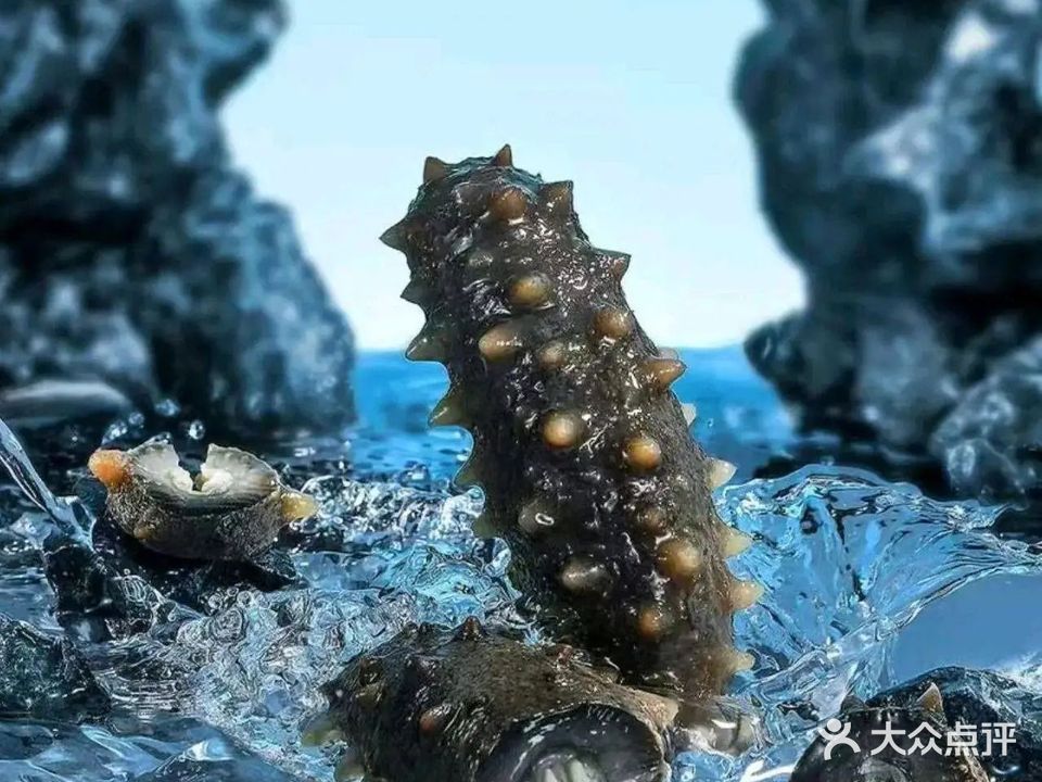 阳澄湖大闸蟹(长江大道店)