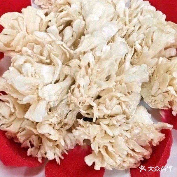 太上老菌菌汤火锅商丘十大名吃(神火大道店)