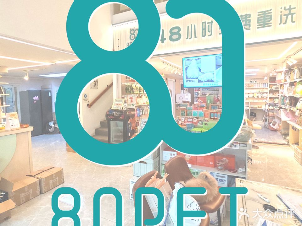 80派宠物会所(东区店)