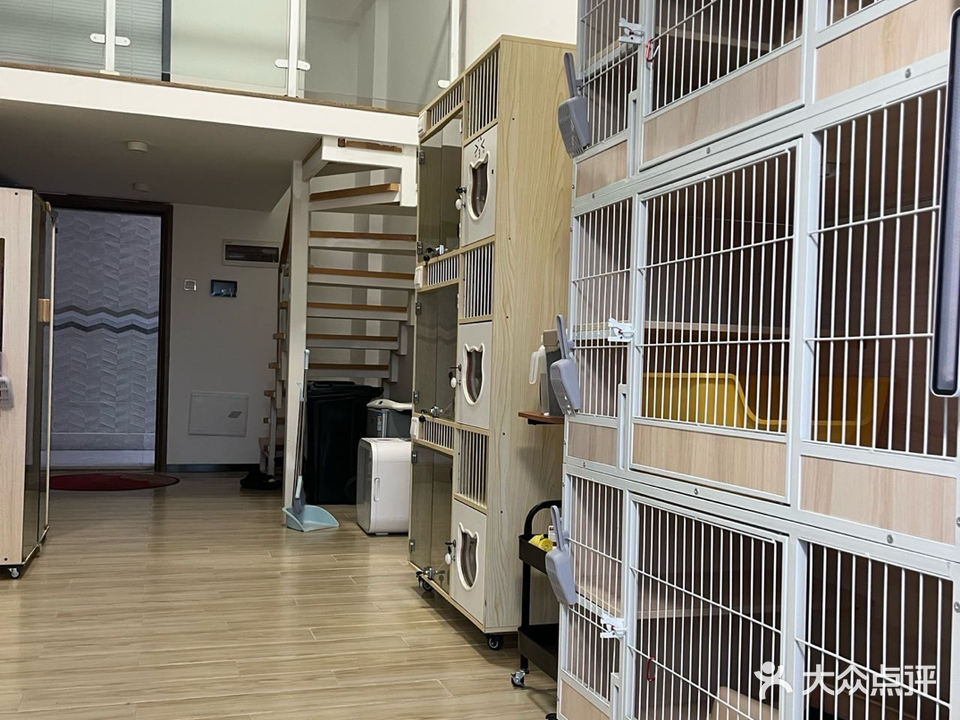 藏金阁猫舍(彩云居店)