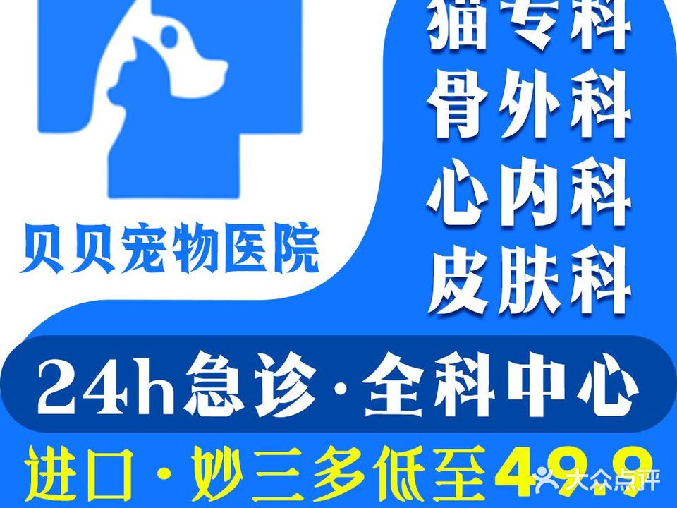 贝贝宠物医院(兴文路店)