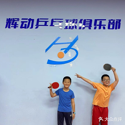 辉动乒乓球俱乐部(中茂城店)