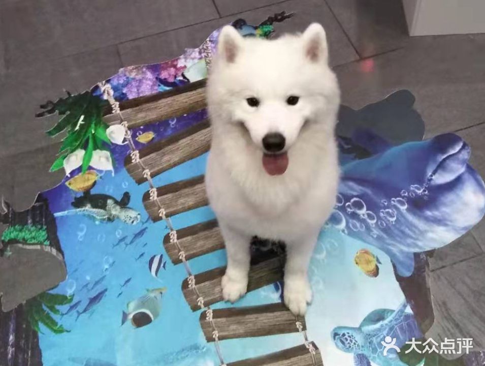 嘟宠优品spa养生会馆