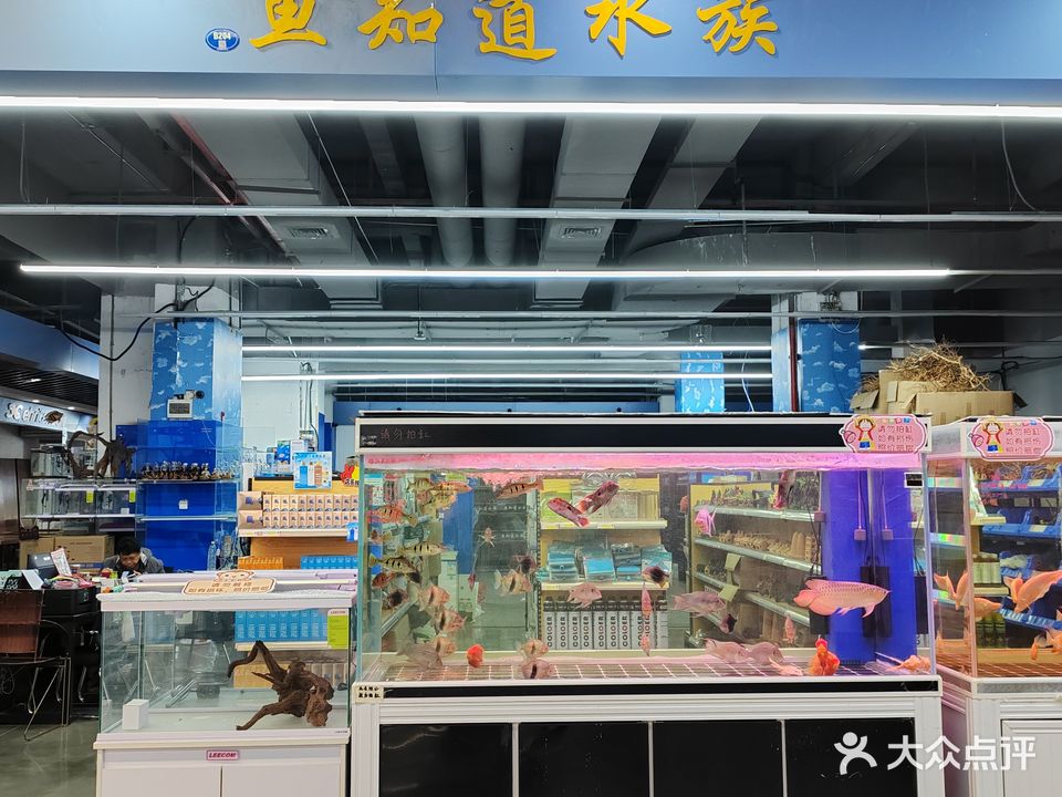 鱼知道水族(盈载两岸观赏鱼花卉茶叶市场店)