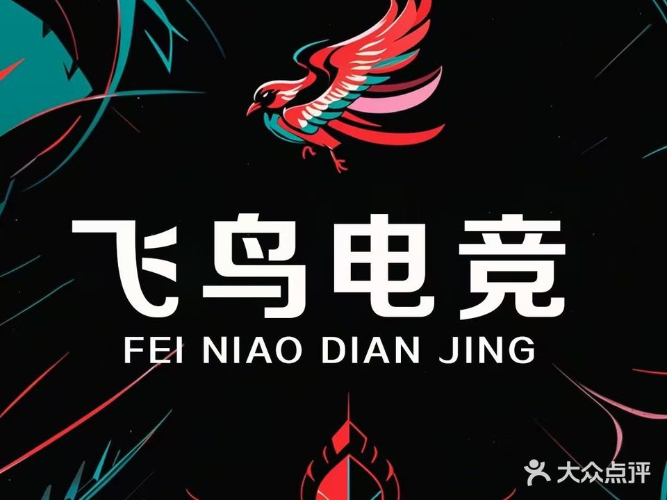 飞鸟电竞