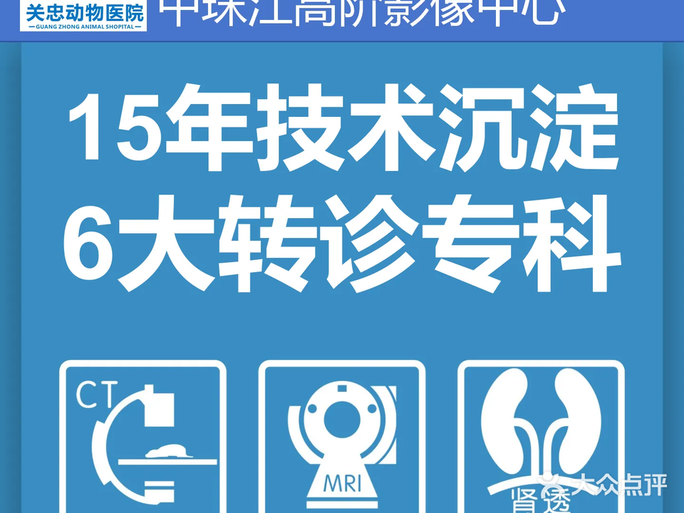 关忠宠物医院24小时CT转诊中心