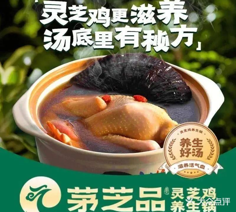 茅芝品灵芝鸡养生火锅(东凤店)