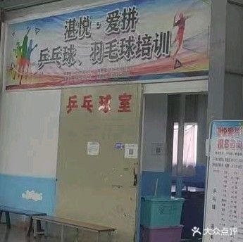 湛悦爱拼乒乓球馆