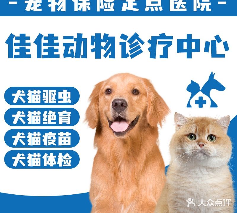 佳佳动物诊疗中心·夜诊·猫专科