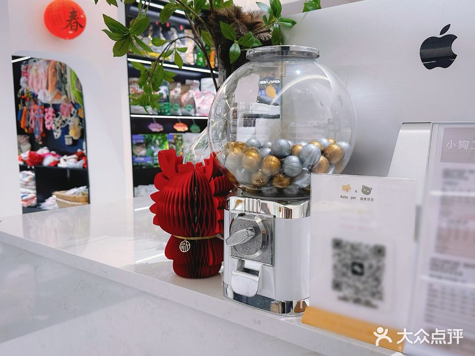 DM小狗工厂