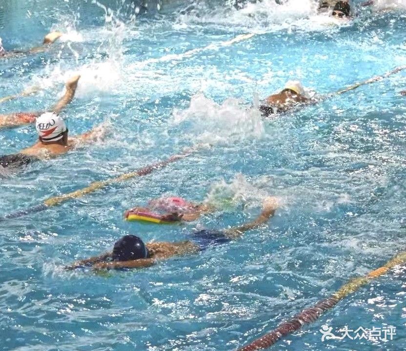 蓝飞鱼体育 美荔园水中康复游泳培训基地