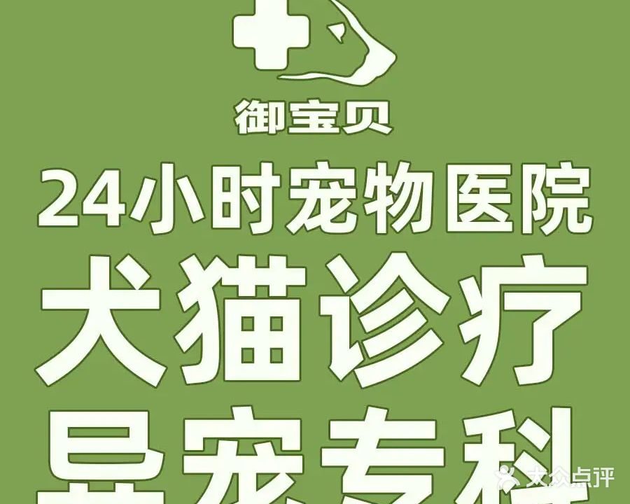 御宝贝24h宠物医院·CT诊断·犬猫异宠诊疗中心(江头吕岭分院)