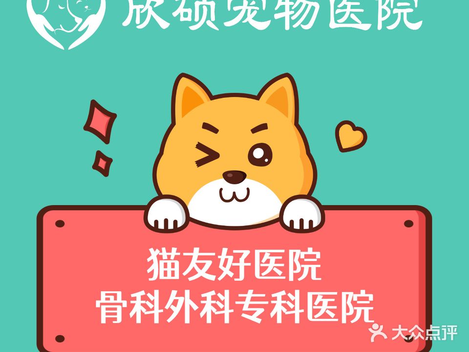 欣硕宠物医院·骨科外科猫友好医院